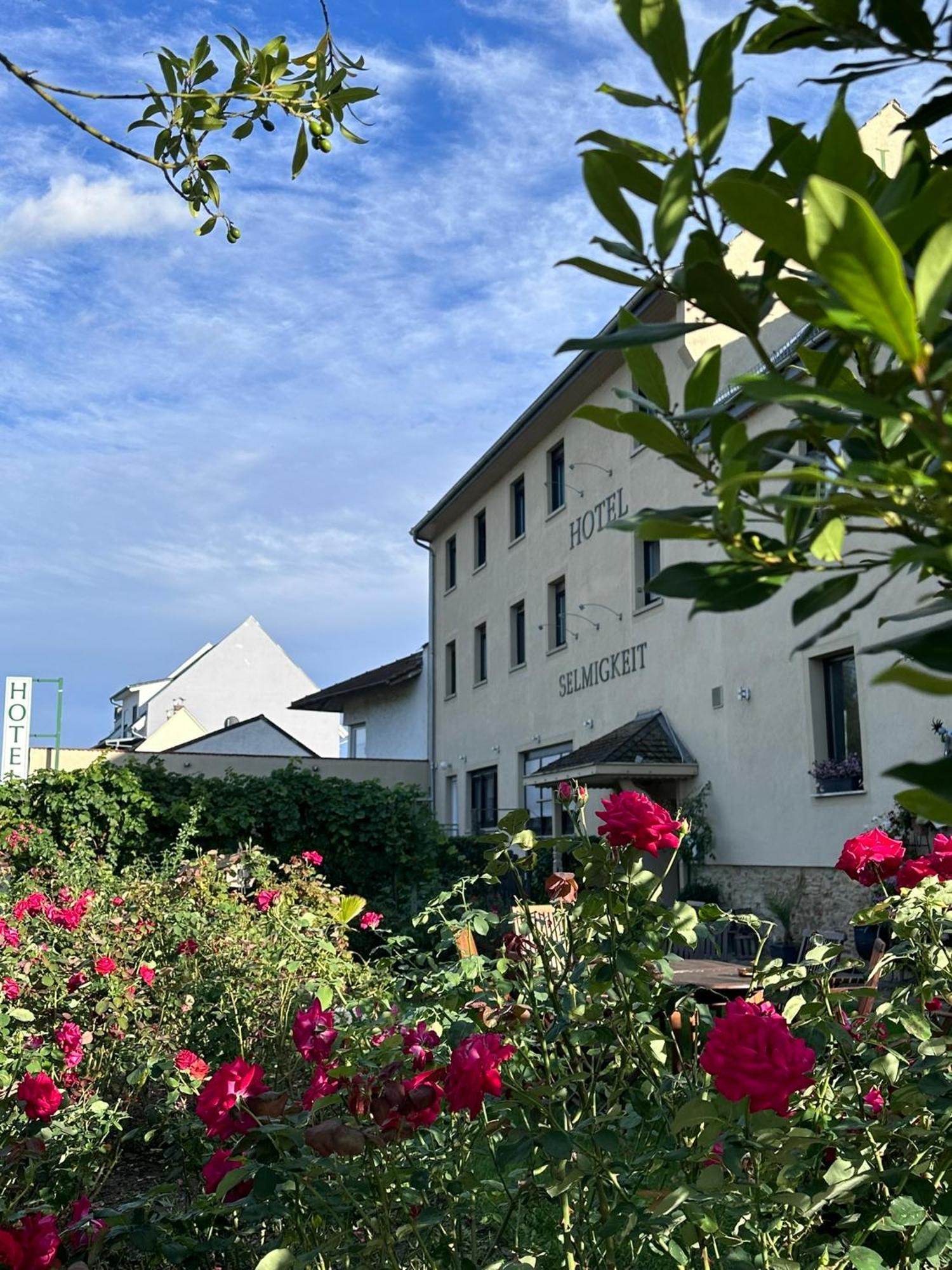 Weinhaus Selmigkeit Hotel บิงเงนอัมไรน์ ภายนอก รูปภาพ