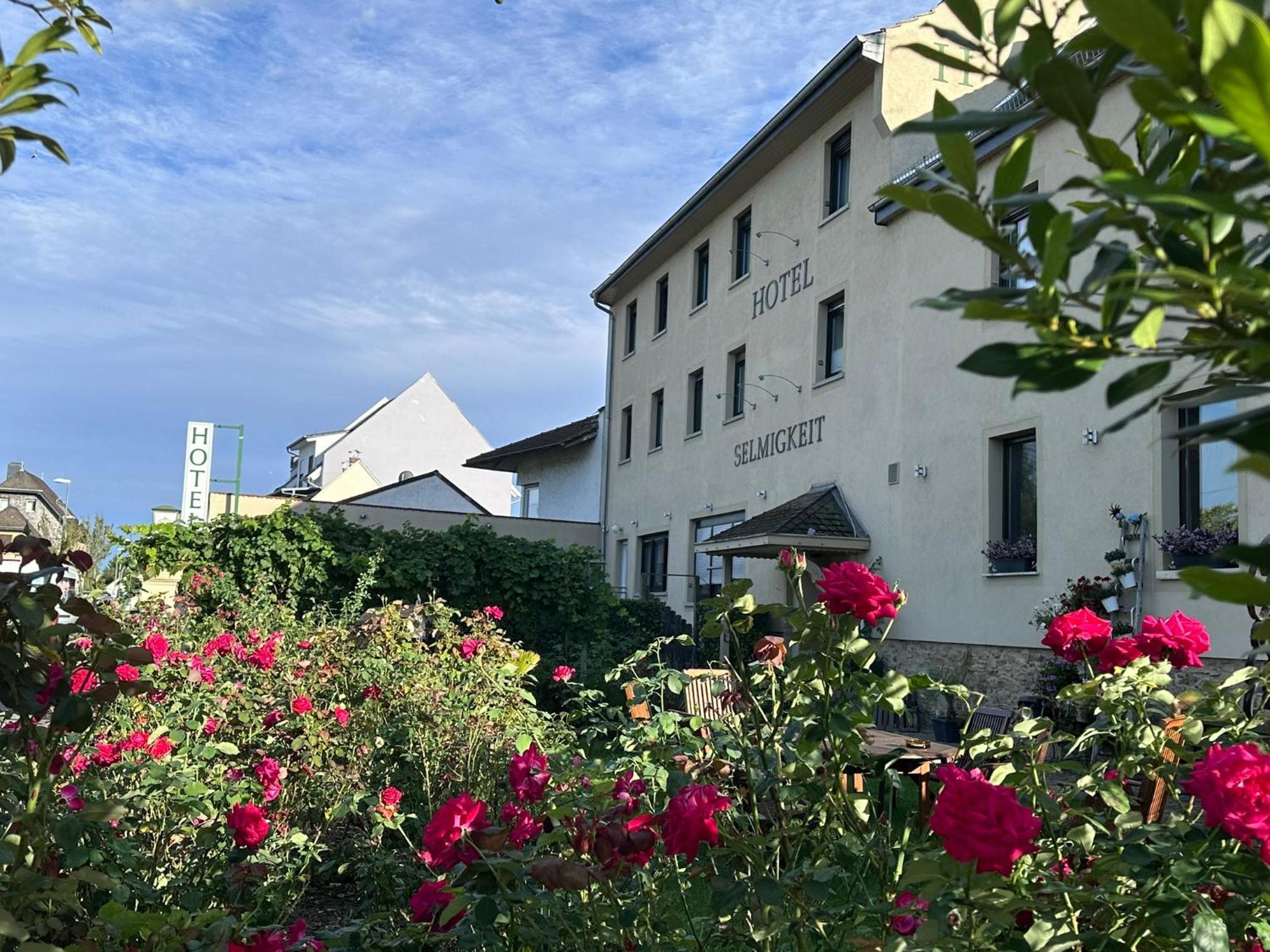 Weinhaus Selmigkeit Hotel บิงเงนอัมไรน์ ภายนอก รูปภาพ