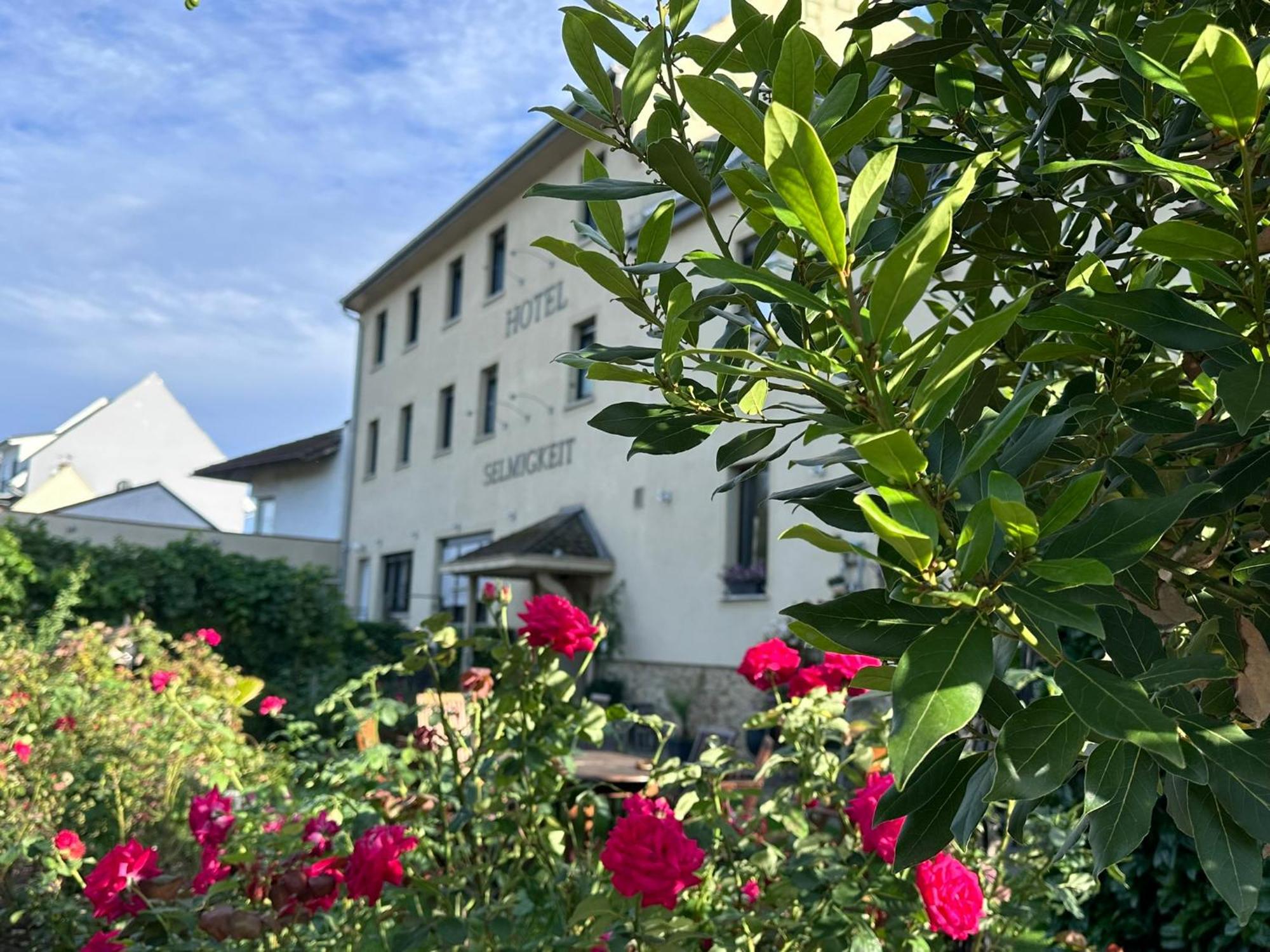 Weinhaus Selmigkeit Hotel บิงเงนอัมไรน์ ภายนอก รูปภาพ